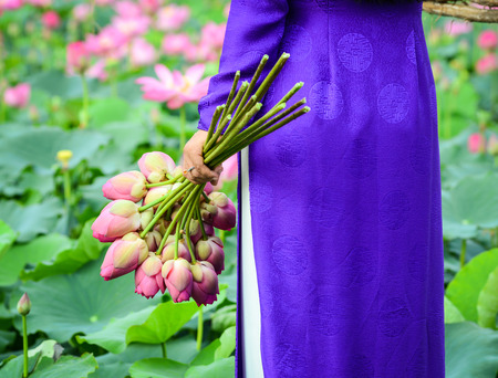 Vietnamese woman wearing traditional dress (ao dai) with bunch of lotus flowerの写真素材