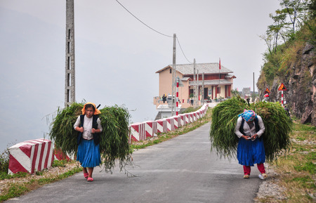 Ha Giang, Vietnam - Oct 13, 2014. Hmong women carrying grass on shoulder in Ha Giang province, Vietnam. Ha Giang shares a 270 km long border with Yunnan province of southern China.のeditorial素材