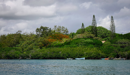 Landscape odd the green island with forest at sunny dayの写真素材
