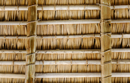 Dried grass hatch roof on the top of traditional cottage house. Close up.の写真素材