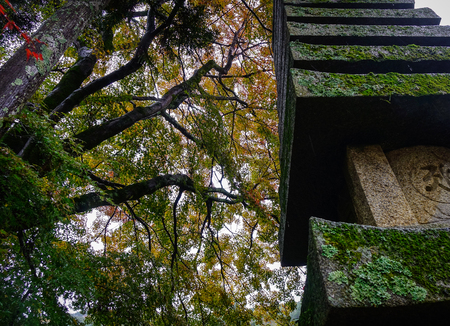 Kyoto, Japan - Nov 27, 2016. An Ancient Monument at autumn in Kyoto, Japan. Kyoto was the capital of Japan for over a millennium, and carries a reputation as its most beautiful city.のeditorial素材