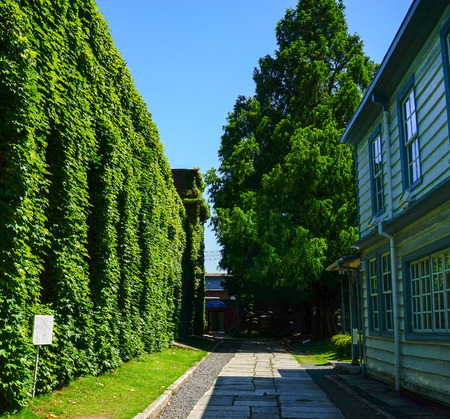 Okayama, Japan - Jun 14, 2015. Stone road with many trees at Kurashiki Old Town in Okayama, Japan. Kurashiki is a historic city located in western Okayama Prefecture.のeditorial素材