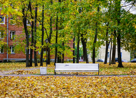 Saint Petersburg, Russia - Oct 11, 2016. Autumn park in Saint Petersburg, Russia. St. Petersburg is Russia second-largest city after Moscow, with five million inhabitants in 2012.のeditorial素材