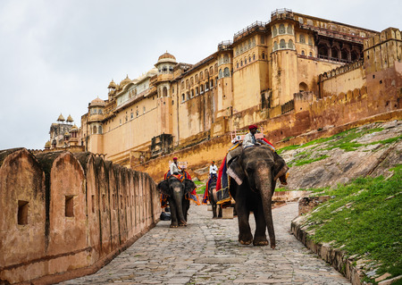 Jaipur, India - Jul 28, 2015. Decorated elephants going on the cobblestone path to Amber Fort near Jaipur, India. Elephant rides are popular tourist attraction in Amber Fort.のeditorial素材