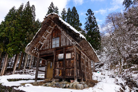 A wooden house with pine trees at Historic Village of Shirakawago in Gifu, Japan. Shirakawago is widely known as one of the most scenic places in Japan.のeditorial素材