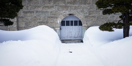 A door at old castle with pine trees in winter.のeditorial素材