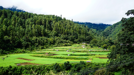 Mountain scenery with green valley in Bhutan. Major sources of income for Bhutan are tourism, hydroelectric power and agriculture.の写真素材