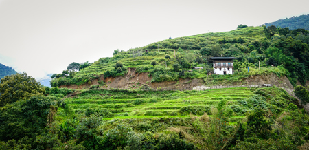 A rural house on the hill with many platations in Bhutan.の写真素材