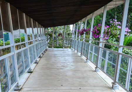 Penang, Malaysia - Mar 11, 2016. Wooden foot bridge in Penang, Malaysia. Penang Hill is a hill resort comprising a group of peaks on Penang Island.のeditorial素材
