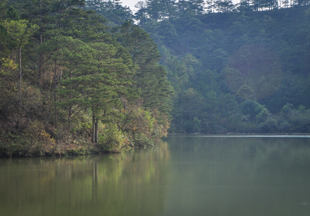 View of reflection lake with pine trees in Dalat, Vietnam. Da Lat is located 1,500 m above sea level on the Langbian Plateau.の写真素材