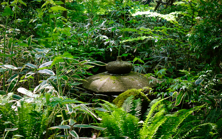 Japanese garden with a stone lantern and green trees in summer.の写真素材