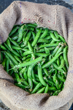 Green beans in bag for sale at rural market. Close up.の写真素材