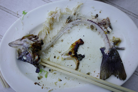 Rainbow trout fish bone on white dish after lunch. Close up.