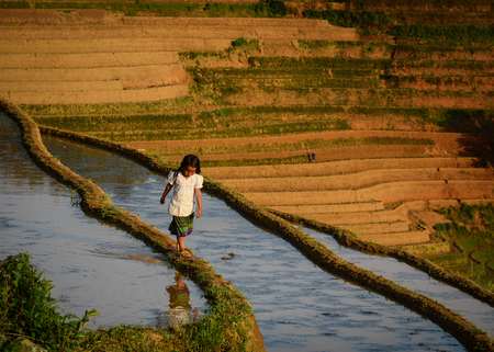 Sapa, Vietnam - May 28, 2016. A Hmong girl walking on terraced rice field in Sapa, Vietnam. Sapa is a beautiful, mountainous town in northern Vietnam along the border with China.のeditorial素材