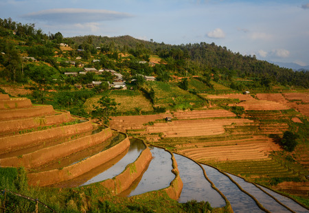 Small village with the terraced rice field in Sapa, Vietnam. Sapa is a beautiful, mountainous town in northern Vietnam along the border with China.の写真素材