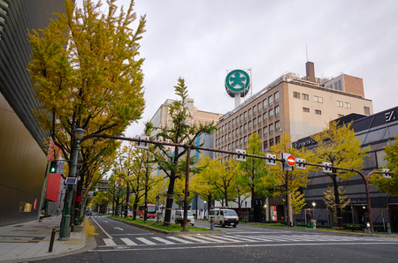 Sendai, Japan - Dec 1, 2016. Street at autumn in Sendai, Japan. Sendai is the center of the Tohoku region economy, and is the base of the region logistics.のeditorial素材