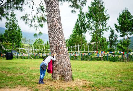 Thimphu, Bhutan - Aug 29, 2015. A woman praying at the sacred tree in Thimphu, Bhutan. Bhutan is a small country in the Himalayas between Tibet and India.のeditorial素材