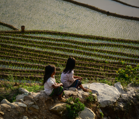 Mu Cang Chai, Vietnam - May 28, 2016. Hmong girls sit on rice field in Mu Cang Chai, Vietnam. Mu Cang Chai is famous for its 700 hectares of terraced rice fields and a popular destination for tourists.のeditorial素材