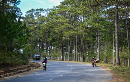Dalat, Vietnam - Jan 25, 2016. Mountain road in Dalat, Vietnam. Dalat is located 1,500 m above sea level on the Langbian Plateau in the southern parts of Central Highlands.のeditorial素材