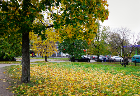 Vyborg, Russia - Oct 6, 2016. Autumn trees at the city park in Vyborg, Russia. Vyborg is 174km northwest of St Petersburg and just 30km from the Finnish border.のeditorial素材