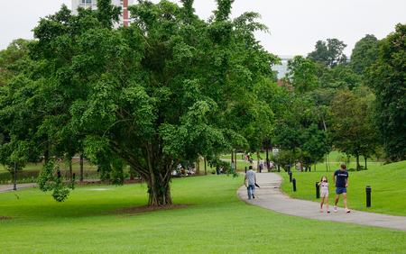 Singapore - Dec 14, 2015. People walking at botanic garden in Singapore. Singapore, referred to as the Lion City, the Garden City, is a sovereign city-state in Southeast Asia.のeditorial素材