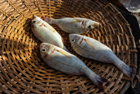 Fresh fish in bamboo basket at the local seafood market in Asia city. Close up.の写真素材