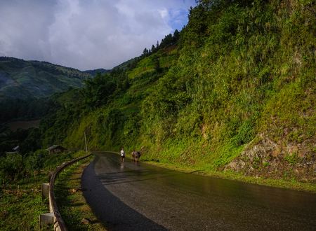 Sapa, Vietnam - Sep 25, 2016. A man walking on rural road at sunny day in Sapa, Vietnam. Sa Pa has the biggest market in the province and also is famous for the terraced rice fields.の写真素材