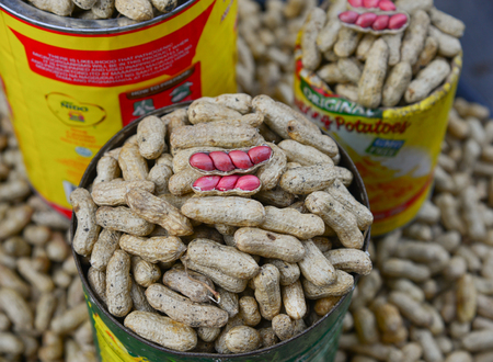 Manila, Philippines - Apr 12, 2017. Selling peanuts at street market in Manila, Philippines. Manila is regarded as one of the best shopping destinations in Asia.のeditorial素材