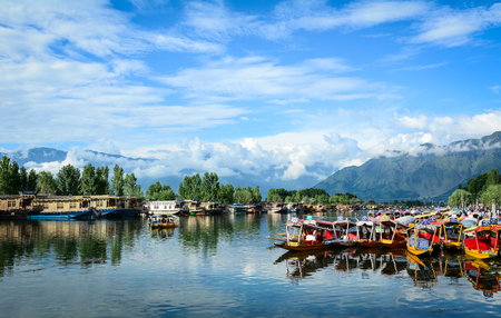 Srinagar, India - Jul 23, 2015. Wooden boats on Dal Lake in Srinagar, India. The lake is also an important source for commercial operations in fishing and water plant harvesting.のeditorial素材