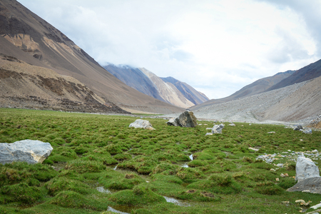 Grassland with mountains at sunny day in Ladakh, India. Ladakh is the highest plateau in the state of Jammu & Kashmir, with much of it being over 3,000m.の写真素材