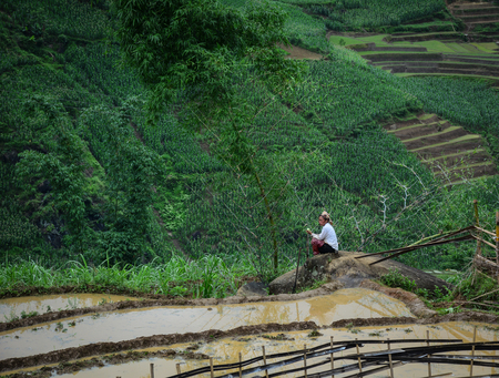 Lao Cai, Vietnam - Jun 1, 2016. A woman sitting on terraced rice field in Lao Cai, Vietnam. The terraced rice fields in most of the mountain areas in the North of Vietnam.のeditorial素材