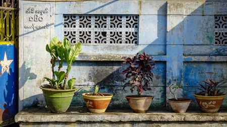 Mandalay, Myanmar - Feb 11, 2017. Pot of plants for decoration at old house in Mandalay, Myanmar. Mandalay is the second-largest city and the last royal capital of Burma.のeditorial素材