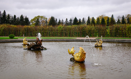 St. Petersburg, Russia - Oct 9, 2016. Fountains at Peterhof in St. Petersburg, Russia. The palace-ensemble along with the city center is recognized as a UNESCO World Heritage Site.のeditorial素材