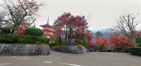 Kyoto, Japan - Nov 19, 2016. Autumn scenery at rainy day in Kyoto, Japan. Kyoto is famous for its...