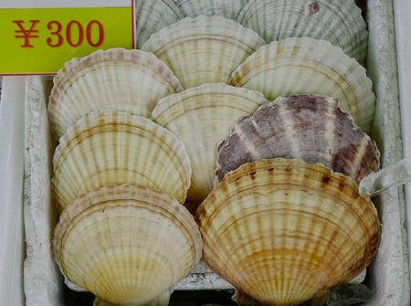 Scallop for sale at a seafood market in Hokkaido, Japan.のeditorial素材