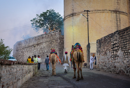 Jodhpur, India - Nov 7, 2017. Riding camels at Mehrangarh Fort in Jodhpur, India. Mehrangarh fort is amongst the very popular tourist attractions in all over India.のeditorial素材