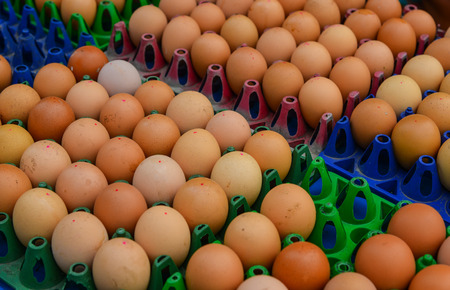 Selling eggs at local market in Yangon, Myanmar. Close up.の写真素材