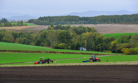 Biei, Japan - Oct 2, 2017. Tractors on field in Biei, Hokkaido, Japan. Biei is a small town surrounded by a picturesque landscape of gently rolling hills and vast fields.の写真素材