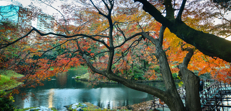 Tokyo, Japan - Dec 6, 2016. Autumn scene at Rikugien Garden in Tokyo, Japan. Rikugien is one of the city most beautiful Edo period strolling gardens in Bunkyo Ward.のeditorial素材