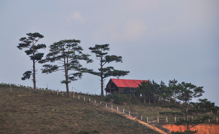 A house on the hill at sunrise in Dalat, Vietnam.のeditorial素材