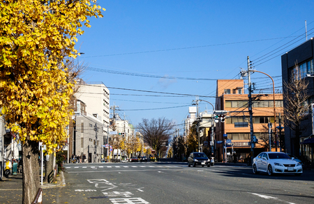 Kyoto, Japan - Dec 25, 2015. Empty street at autumn in Kyoto, Japan. Kyoto was the capital of Japan for over a millennium and carries a reputation as its most beautiful city.のeditorial素材