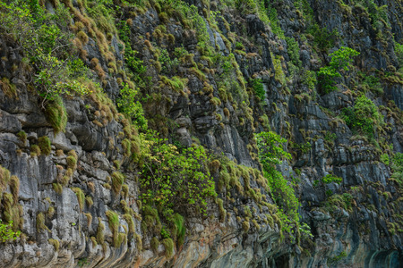 Rocks on the sea in Phi Phi Island, Phuket, Thailand.の写真素材