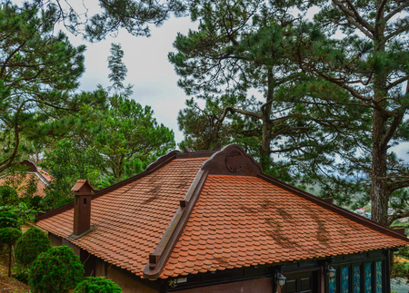 Roof top of an brick house at pine tree forest in Dalat, Vietnam.