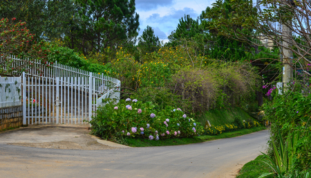 Landscape of city park at spring time in Dalat, Vietnam.