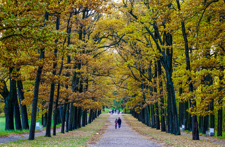 St Petersburg, Russia - Oct 7, 2016. People walking on autumn road in Saint Petersburg, Russia. Saint Petersburg has a significant historical and cultural heritage.のeditorial素材