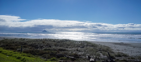 Beautiful sea at sunny day in North Island, New Zealand.の写真素材