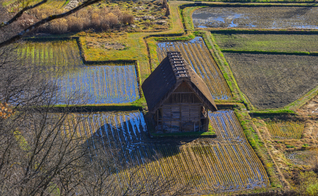 A wooden house with rice field at Shirakawa-go Historic Village in Gifu, Japan.の写真素材
