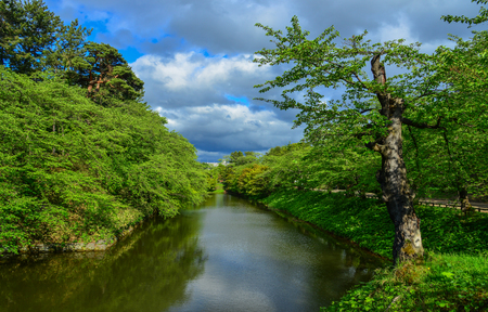 Green park with a canal in summer day.の写真素材