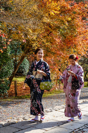 Kyoto, Japan - Dec 26, 2015. Women wearing Japanese traditional clothes (kimono) at autumn park in Kyoto, Japan.のeditorial素材