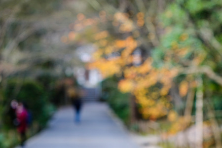 Blurred of nature background. Road in Japanese garden.の写真素材